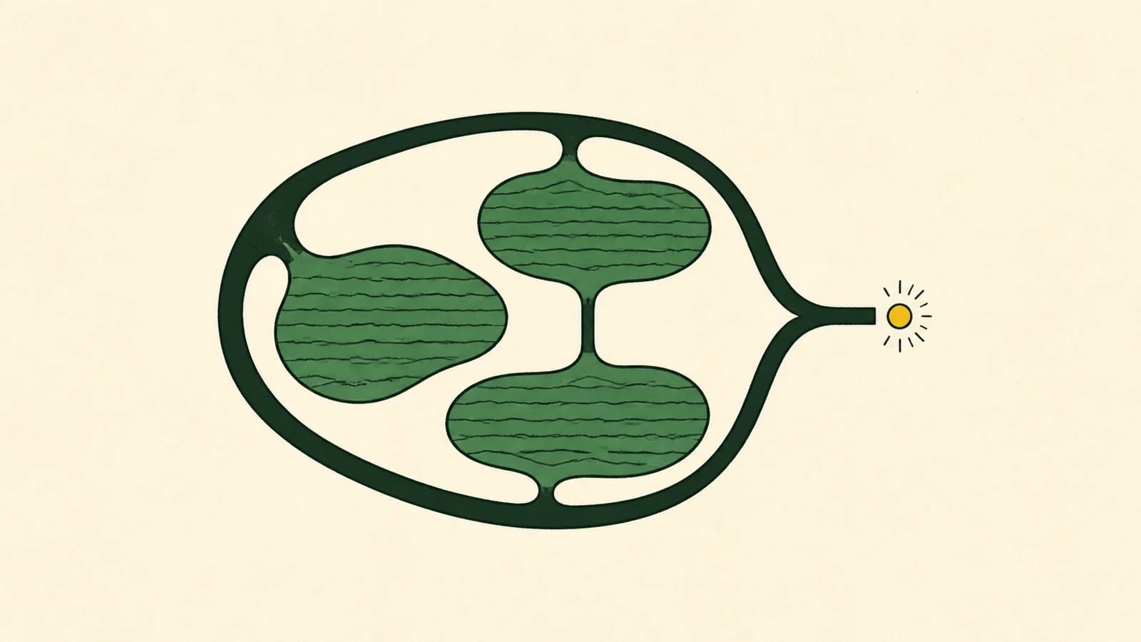 Abstract illustration on an ivory ground: a broad forest-green loop links three flat reservoirs and narrows towards a small yellow signal.
